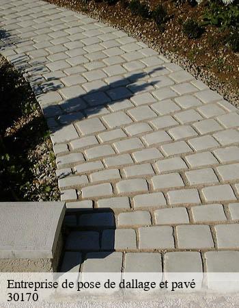 entreprise-de-pose-de-dallage-et-pave