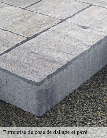 entreprise-de-pose-de-dallage-et-pave